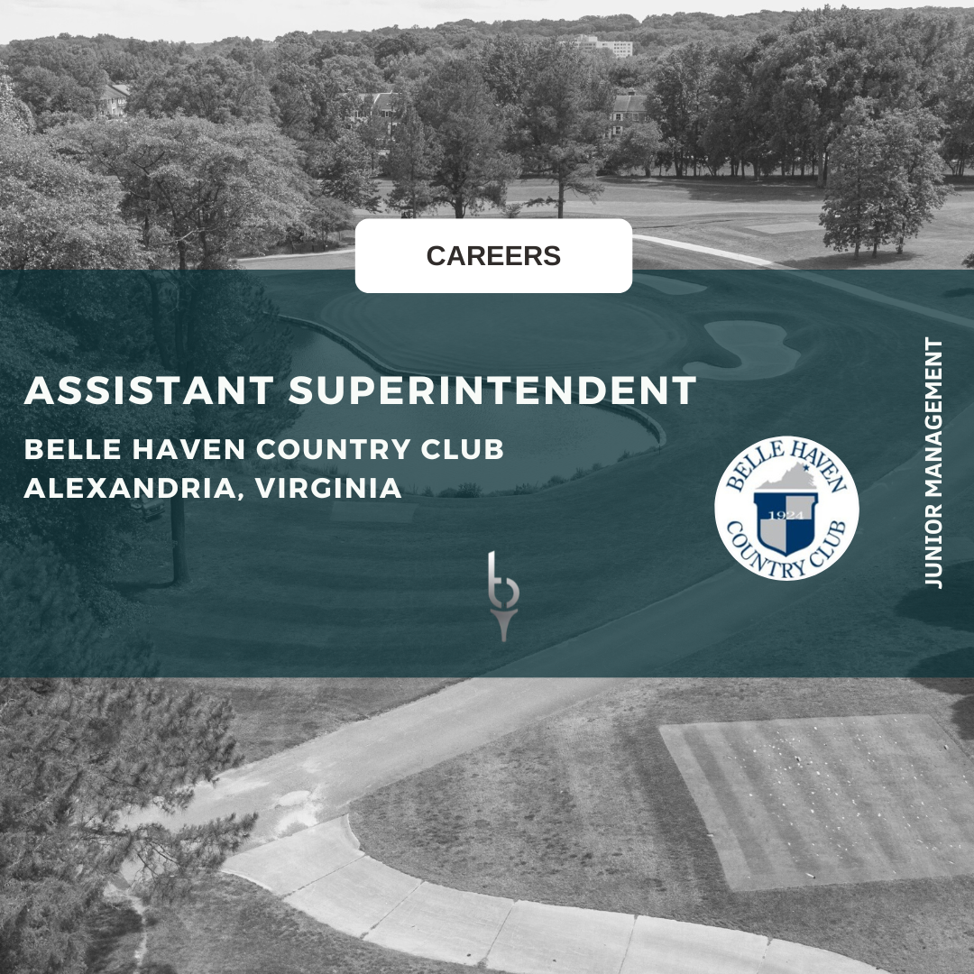 Careers Archive Tyler Bloom Consulting